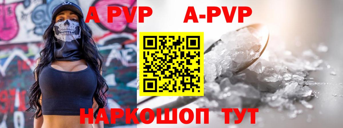Альфа ПВП СК Каменка