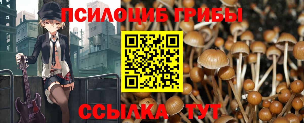Псилоцибиновые грибы прущие грибы  Галлюциногенные грибы прущие грибы  Вход с VPN  Каменка 